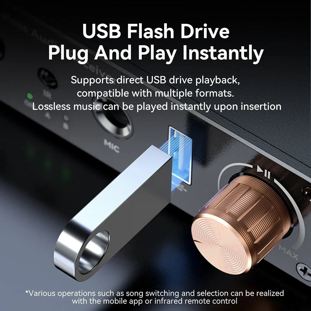 Wireless Audio Receiver with Remote Volume Control and Multi Port AUX RCA Connectivity