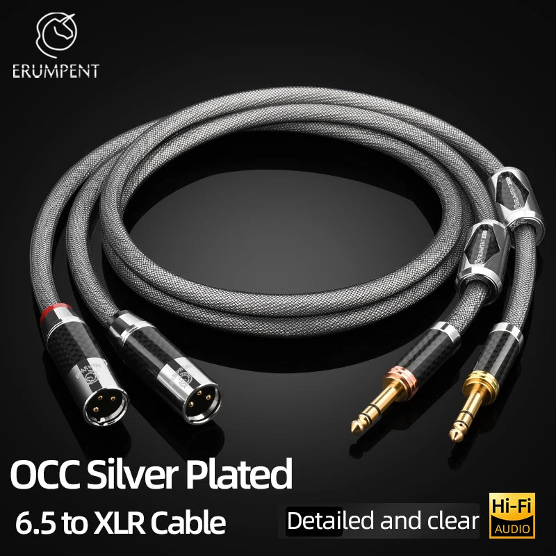 Premium Silver Plated 6.35mm to XLR Balanced Stereo Audio Cable for Studio and Stage