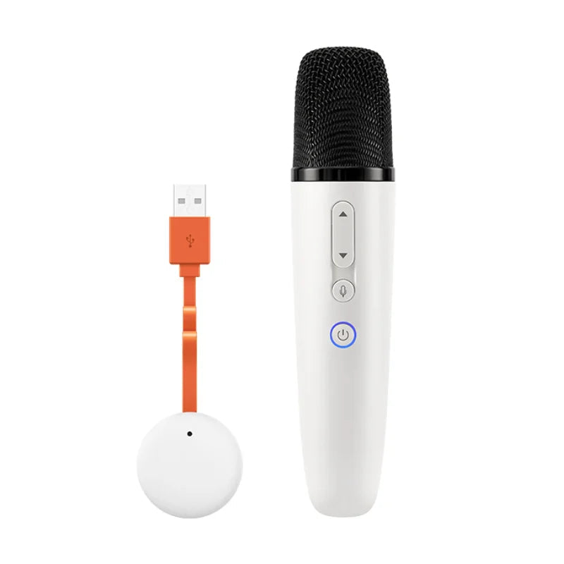 Wireless Car Microphone with Receiver for In-Car Karaoke Compatible with Most BYD Vehicles