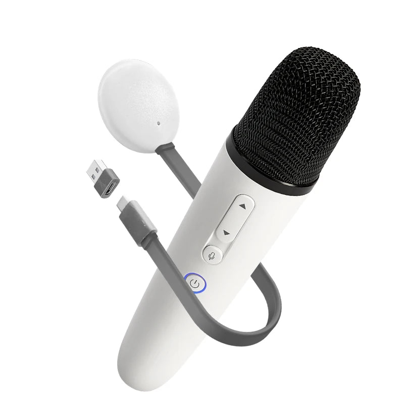 Wireless Jaecoo Car Karaoke Microphone Set for In-Car Entertainment and Conference Use