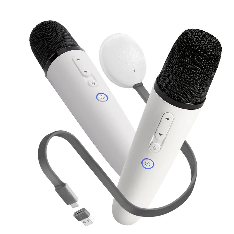 Wireless Jaecoo Car Karaoke Microphone Set for In-Car Entertainment and Conference Use