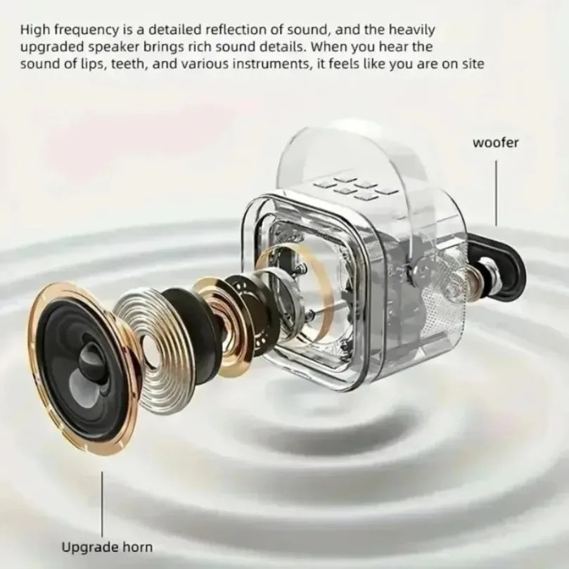 VIKEFON Portable Bluetooth 5.3 Karaoke Speaker with 2 Wireless Microphones & LED Lights