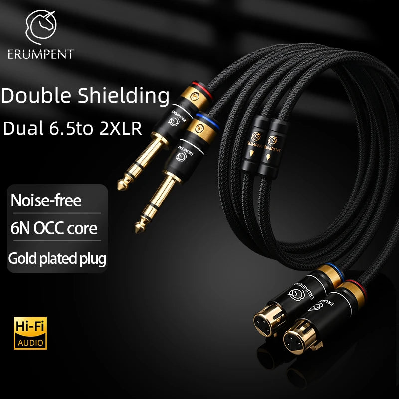 Premium 6.35mm TRS to XLR Balanced Stereo Audio Cable for Microphone and Speaker Connection
